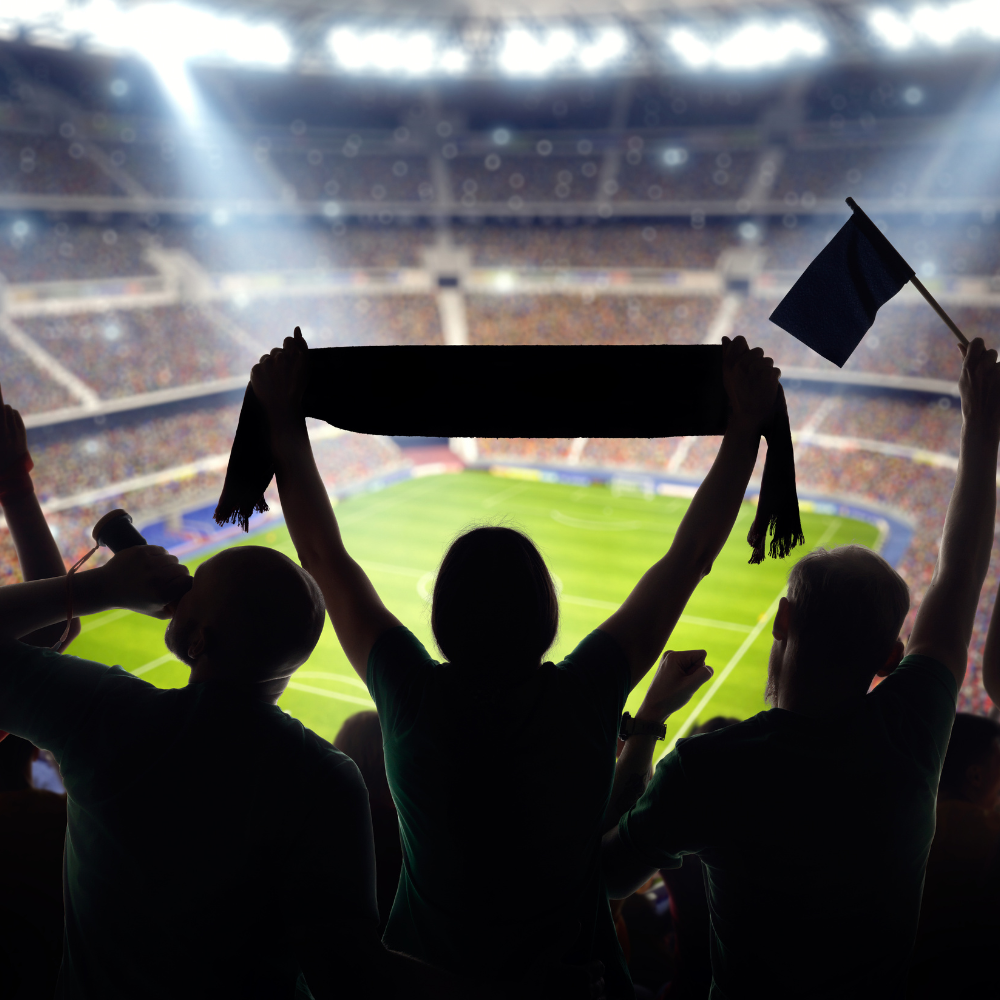Stadiums and Arenas using NEXO